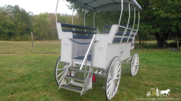 Limousine Carriage
