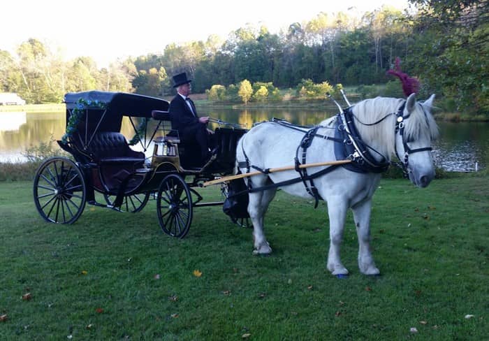 Victoria Princess Carriage after a wedding in East Canton, OH