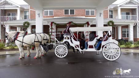  Our Victorian carriage at a holiday event in Medina, OH