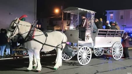  Our new one of a kind Limousine Carriage giving rides at a Christmas event in Shadyside, OH