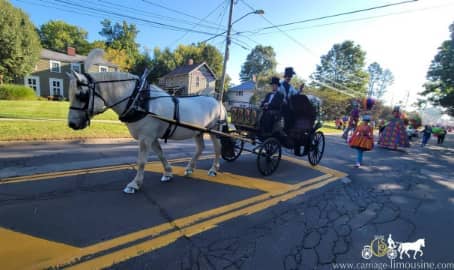  Our Princess carriage in a parade in Ravenna, OH