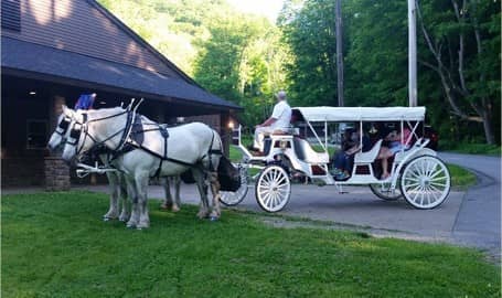  Our Stretch Victorian carriage at a party in downtown Beaver, PA