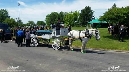 Our beautiful Caisson during a funeral in Brook Park, OH