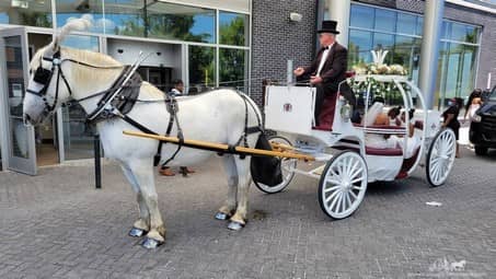 The Cinderella Carriage during a wedding entrance in Westlake, OH