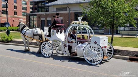 Our hand crafted Cinderella Carriage during a wedding entrance in Westlake, OH