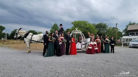 Our one of a kind Cinderella Carriage during a wedding in Champion, OH 