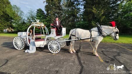 Our Cinderella Horse Drawn Carriage making a grand entrance to a prom near Warren, OH