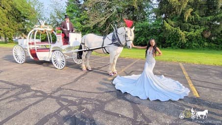 Our Cinderella Horse and Carriage making a grand entrance to a prom near Warren, OH