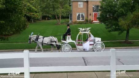 The bride and groom go for a ride after their ceremony near Cuyahoga Falls, OH