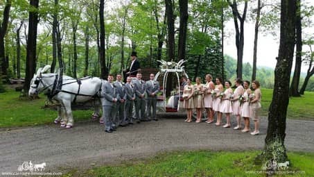 The bridal party poses with the bride and groom after the ceremony at Seven Springs resort in PA