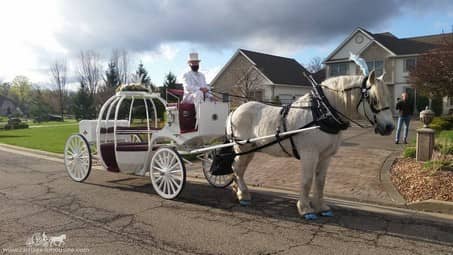 Our Cinderella Carriage before a prom proposal near Austintown, OH