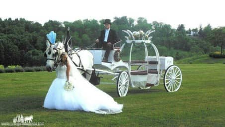 The bride posing with Pearl and our Cinderella Carriage at Destiny Hill Farm near Washington, PA