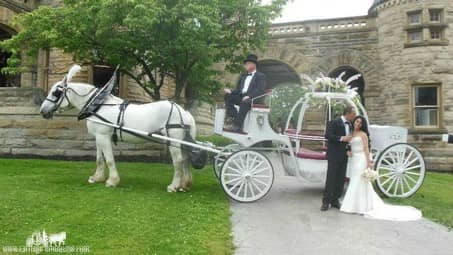 The bride and groom posing with the carriage in front of Buhl Mansion in Sharon, PA