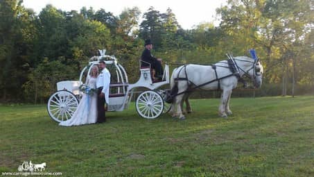 Cinderella Carriage after a ceremony in Adamsville, PA