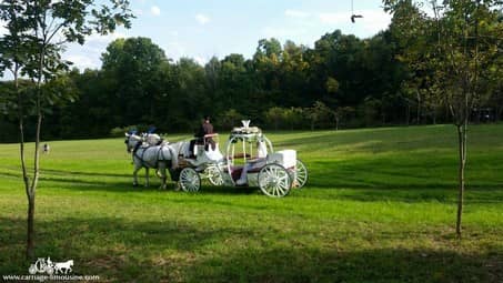 Heading to the ceremony in our Cinderella Carriage in Adamsville, PA