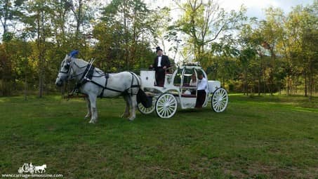 Our Cinderella Carriage after the wedding in Adamsville, PA