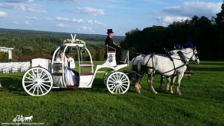 Exit ride after the ceremony in our Cinderella Carriage in Adamsville, PA