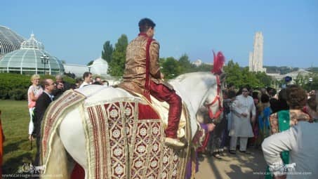 The groom riding our Indian Baraat Horse at Phipps Conservatory in Pittsburgh, PA