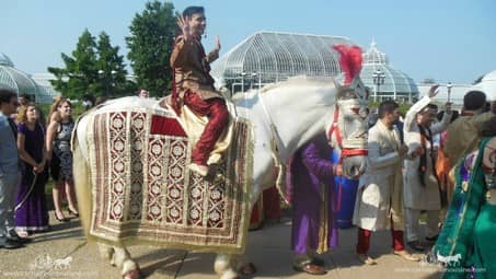 The groom riding our Indian Wedding Horse at Phipps Conservatory in Pittsburgh, PA