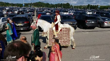 Indian Wedding Horse at the Pittsburgh Airport