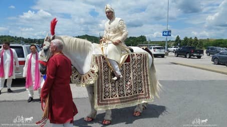 The groom riding on our Indian Wedding Horse at the Pittsburgh International Airport