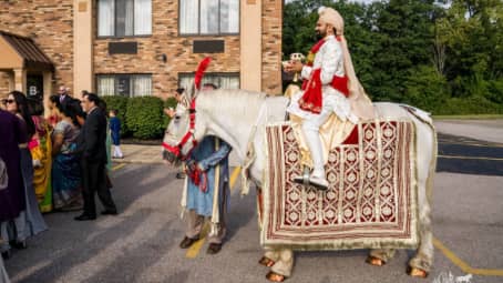 Our Indian Wedding Horse during a Baraat in Richfield, OH