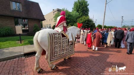 The Indian Baraat Horse during a wedding in Bedford, OH