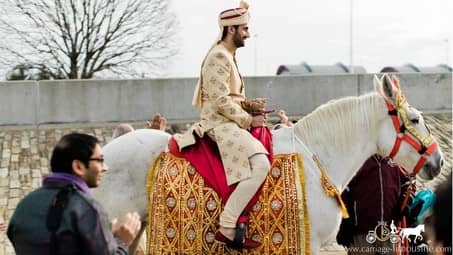 Our Indian Baraat Horse during a procession near Pittsburgh, PA