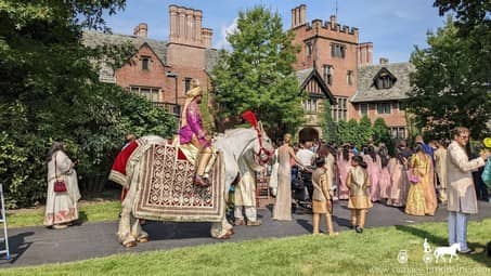 Our Indian Baraat Horse during a procession at Stan Hywet in Akron, OH