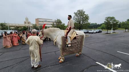 The Indian Wedding Horse during a Baraat procession in Westlake, OH