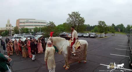 Our Indian Wedding Horse during a Baraat procession in Westlake, OH