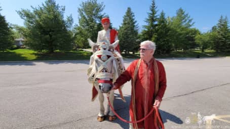 The groom riding our Indian Baraat Horse at Phipps Conservatory in Pittsburgh, PA
