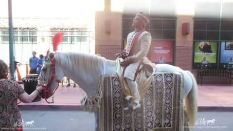 The riding our white Indian Wedding Horse at Station Square in Pittsburgh, PA