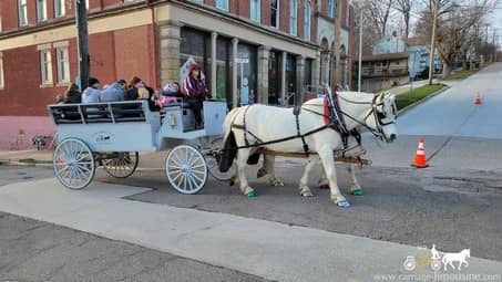 Limousine Carriage giving rides in Leetonia, OH