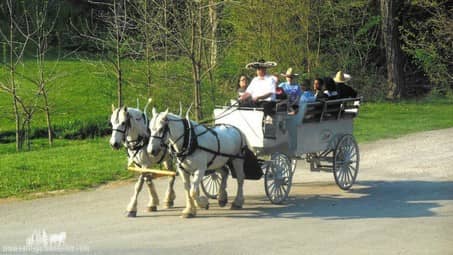 Our Limousine Carriage giving rides at Brady's Run Park near Beaver, PA