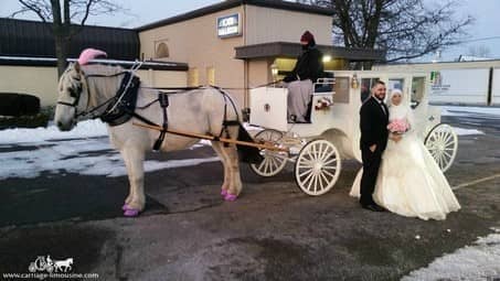 Bride and Groom posing with our Royal Coach in Akron, OH