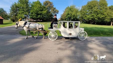Our one of a kind Royal Coach during an entrance to the wedding ceremony in SNPJ, PA