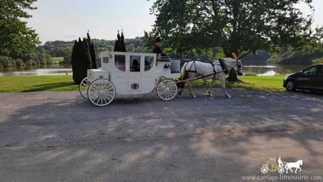 Our Horse Drawn Royal Coach during an entrance to the wedding ceremony in SNPJ, PA