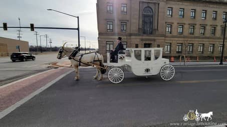 The Royal Coach giving the bride and groom a ride after their wedding ceremony in Youngstown, OH