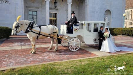 Our Royal Coach during a photo session after a wedding ceremony in Youngstown, OH