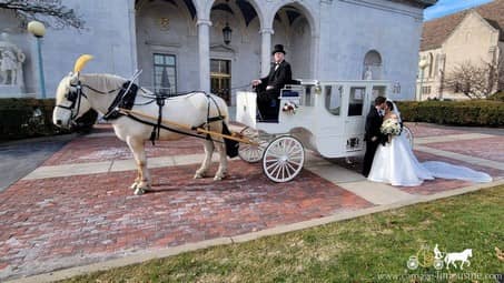The Royal Coach during a photo session after a wedding ceremony in Youngstown, OH