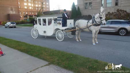 The Royal Coach Horse Drawn Carriage after a wedding in Cleveland, OH