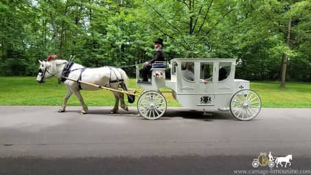 Giving the bride and groom a ride in our Royal Coach after the wedding in Hermitage, PA