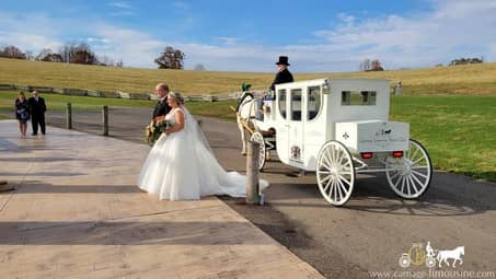 Our Royal Coach before a wedding reception near Akron, OH