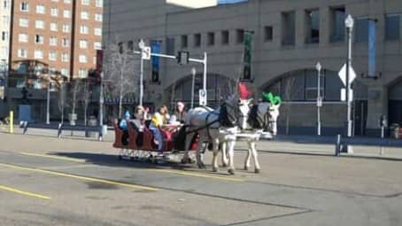 Our Sleigh giving rides next to PNC Park in Pittsburgh PA
