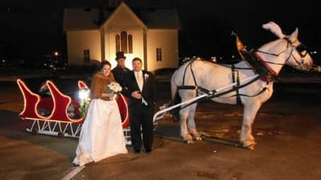 Our Sleigh at a wedding at Boardman Park in Boardman Ohio