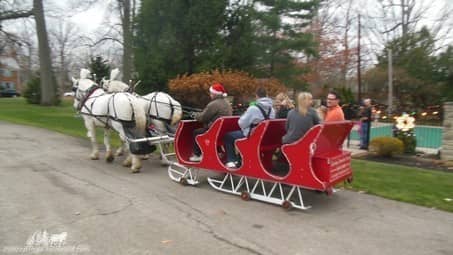 Our Horse Drawn Sleigh giving rides during a holiday event in Rocky River Ohio