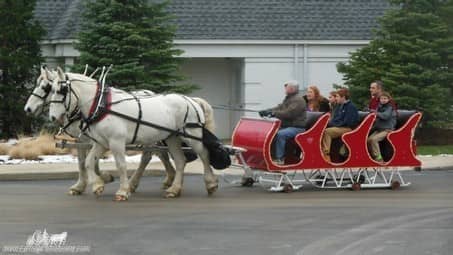 Our Horse Drawn Sleigh giving rides during a holiday event in Rocky River Ohio