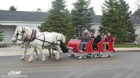 Our Horse Drawn Sleigh giving rides during an event in Rocky River Ohio