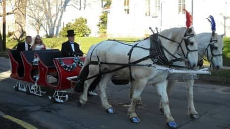 Our Sleigh during a wedding in Washington PA